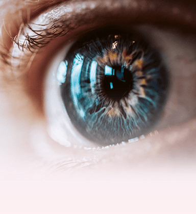 Oko zblízka pro zdraví zraku a imunitního systému